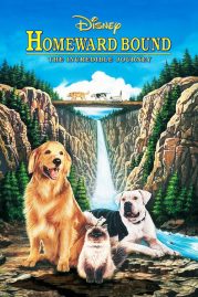 ดูหนังออนไลน์ฟรี Homeward Bound: The Incredible Journey (1993) 2 หมา 1 แมว ใครจะพรากเราไม่ได้ หนังมาสเตอร์ หนังเต็มเรื่อง ดูหนังฟรีออนไลน์ ดูหนังออนไลน์ หนังออนไลน์ ดูหนังใหม่ หนังพากย์ไทย หนังซับไทย ดูฟรีHD