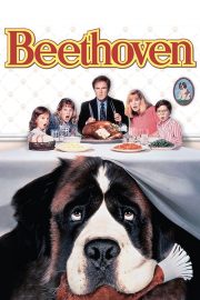 ดูหนังออนไลน์ฟรี Beethoven (1992) บีโธเฟน ชื่อหมาแต่ไม่ใช่หมา หนังมาสเตอร์ หนังเต็มเรื่อง ดูหนังฟรีออนไลน์ ดูหนังออนไลน์ หนังออนไลน์ ดูหนังใหม่ หนังพากย์ไทย หนังซับไทย ดูฟรีHD
