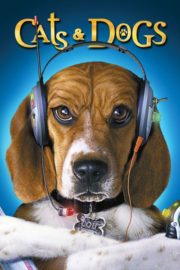 ดูหนังออนไลน์ฟรี Cats And Dogs (2001) สงครามพยัคฆ์ร้ายขนปุย หนังมาสเตอร์ หนังเต็มเรื่อง ดูหนังฟรีออนไลน์ ดูหนังออนไลน์ หนังออนไลน์ ดูหนังใหม่ หนังพากย์ไทย หนังซับไทย ดูฟรีHD