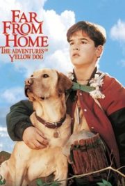 ดูหนังออนไลน์ฟรี Far from Home: The Adventures of Yellow Dog (1995) เพื่อนรักแสนรู้ หนังมาสเตอร์ หนังเต็มเรื่อง ดูหนังฟรีออนไลน์ ดูหนังออนไลน์ หนังออนไลน์ ดูหนังใหม่ หนังพากย์ไทย หนังซับไทย ดูฟรีHD