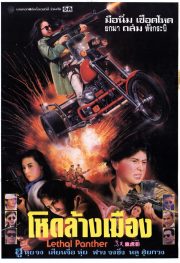 ดูหนังออนไลน์ฟรี Lethal Panther (1990) โหดล้างเมือง หนังมาสเตอร์ หนังเต็มเรื่อง ดูหนังฟรีออนไลน์ ดูหนังออนไลน์ หนังออนไลน์ ดูหนังใหม่ หนังพากย์ไทย หนังซับไทย ดูฟรีHD