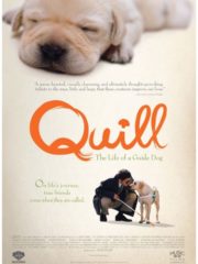 ดูหนังออนไลน์ฟรี Quill The Life of a Guide Dog (2004) โฮ่ง (ฮับ) เจ้าตัวเนี้ยซี้ 100% หนังมาสเตอร์ หนังเต็มเรื่อง ดูหนังฟรีออนไลน์ ดูหนังออนไลน์ หนังออนไลน์ ดูหนังใหม่ หนังพากย์ไทย หนังซับไทย ดูฟรีHD