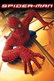 ดูหนังออนไลน์ฟรี Spider Man 1 (2002) ไอ้แมงมุม หนังมาสเตอร์ หนังเต็มเรื่อง ดูหนังฟรีออนไลน์ ดูหนังออนไลน์ หนังออนไลน์ ดูหนังใหม่ หนังพากย์ไทย หนังซับไทย ดูฟรีHD