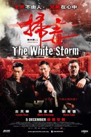 ดูหนังออนไลน์ฟรี The White Storm (2013) โคตรคนโค่นคนอันตราย