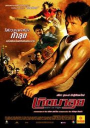 ดูหนังออนไลน์ฟรี Born to Fight (2004) เกิดมาลุย หนังมาสเตอร์ หนังเต็มเรื่อง ดูหนังฟรีออนไลน์ ดูหนังออนไลน์ หนังออนไลน์ ดูหนังใหม่ หนังพากย์ไทย หนังซับไทย ดูฟรีHD