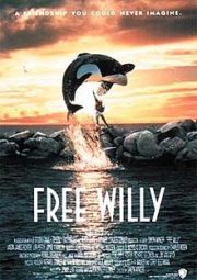 ดูหนังออนไลน์ฟรี Free Willy (1993) ฟรี วิลลี่ เพื่อเพื่อนด้วยหัวใจอันยิ่งใหญ่ หนังมาสเตอร์ หนังเต็มเรื่อง ดูหนังฟรีออนไลน์ ดูหนังออนไลน์ หนังออนไลน์ ดูหนังใหม่ หนังพากย์ไทย หนังซับไทย ดูฟรีHD