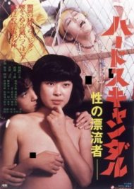 ดูหนังออนไลน์ฟรี Hard Scandal Sex Drifter (1980)