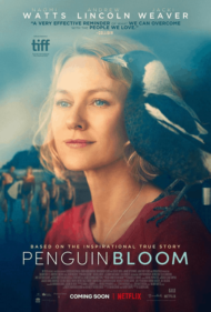ดูหนังออนไลน์ฟรี Penguin Bloom (2021) เพนกวิน บลูม หนังมาสเตอร์ หนังเต็มเรื่อง ดูหนังฟรีออนไลน์ ดูหนังออนไลน์ หนังออนไลน์ ดูหนังใหม่ หนังพากย์ไทย หนังซับไทย ดูฟรีHD