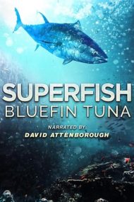 ดูหนังออนไลน์ฟรี Superfish Bluefin Tuna (2012) หนังมาสเตอร์ หนังเต็มเรื่อง ดูหนังฟรีออนไลน์ ดูหนังออนไลน์ หนังออนไลน์ ดูหนังใหม่ หนังพากย์ไทย หนังซับไทย ดูฟรีHD