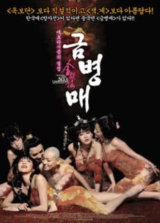 ดูหนังออนไลน์ฟรี The Forbidden Legend Sex and Chopsticks 2 (2009) บทรักอมตะ 2