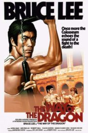 ดูหนังออนไลน์ฟรี The Way of the Dragon (1972) ไอ้หนุ่มซินตึ๊งบุกกรุงโรม