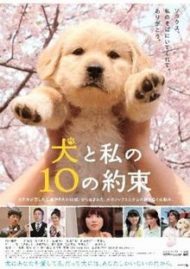 ดูหนังออนไลน์ฟรี 10 Promises to My Dog (2008) 10 ข้อสัญญาน้องหมาของฉัน หนังมาสเตอร์ หนังเต็มเรื่อง ดูหนังฟรีออนไลน์ ดูหนังออนไลน์ หนังออนไลน์ ดูหนังใหม่ หนังพากย์ไทย หนังซับไทย ดูฟรีHD