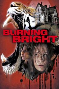 ดูหนังออนไลน์ฟรี Burning Bright (2010) ขังนรกบ้านเสือดุ หนังมาสเตอร์ หนังเต็มเรื่อง ดูหนังฟรีออนไลน์ ดูหนังออนไลน์ หนังออนไลน์ ดูหนังใหม่ หนังพากย์ไทย หนังซับไทย ดูฟรีHD