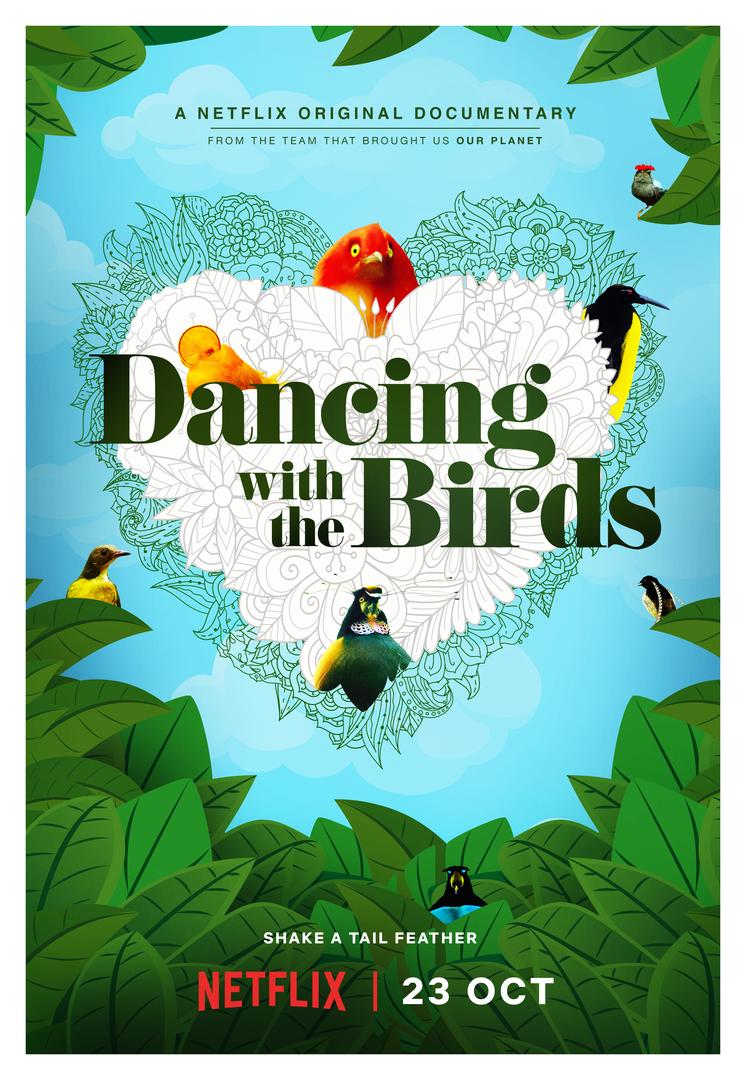 ดูหนังออนไลน์ฟรี Dancing with the Birds (2019) สารคดีนกน้อยเริงระบำรัก หนังมาสเตอร์ หนังเต็มเรื่อง ดูหนังฟรีออนไลน์ ดูหนังออนไลน์ หนังออนไลน์ ดูหนังใหม่ หนังพากย์ไทย หนังซับไทย ดูฟรีHD
