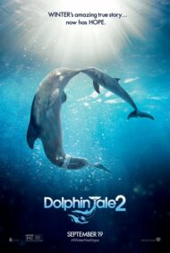 ดูหนังออนไลน์ฟรี Dolphin Tale 2 (2014) มหัศจรรย์โลมาหัวใจนักสู้ 2 หนังมาสเตอร์ หนังเต็มเรื่อง ดูหนังฟรีออนไลน์ ดูหนังออนไลน์ หนังออนไลน์ ดูหนังใหม่ หนังพากย์ไทย หนังซับไทย ดูฟรีHD