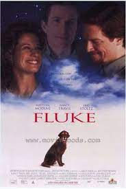 ดูหนังออนไลน์ฟรี FLUKE (1995) หนังมาสเตอร์ หนังเต็มเรื่อง ดูหนังฟรีออนไลน์ ดูหนังออนไลน์ หนังออนไลน์ ดูหนังใหม่ หนังพากย์ไทย หนังซับไทย ดูฟรีHD