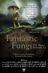 ดูหนังออนไลน์ฟรี Fantastic Fungi (2019) เห็ดมหัศจรรย์ หนังมาสเตอร์ หนังเต็มเรื่อง ดูหนังฟรีออนไลน์ ดูหนังออนไลน์ หนังออนไลน์ ดูหนังใหม่ หนังพากย์ไทย หนังซับไทย ดูฟรีHD