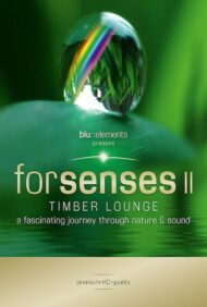 ดูหนังออนไลน์ฟรี Forsenses II Timber Lounge (2011) หนังมาสเตอร์ หนังเต็มเรื่อง ดูหนังฟรีออนไลน์ ดูหนังออนไลน์ หนังออนไลน์ ดูหนังใหม่ หนังพากย์ไทย หนังซับไทย ดูฟรีHD
