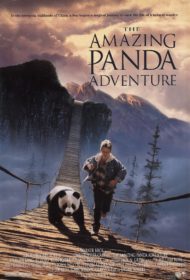 ดูหนังออนไลน์ฟรี The Amazing Panda Adventure (1995) แพนด้าน้อยผจญภัยสุดขอบฟ้า