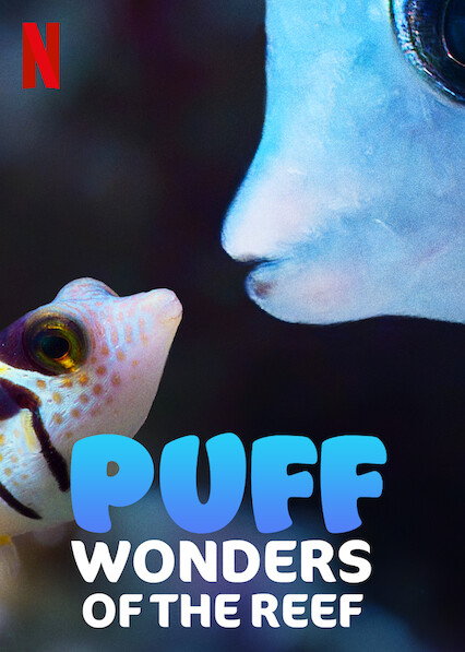 ดูหนังออนไลน์ฟรี Puff Wonders of the Reef (2021) พัฟฟ์ มหัศจรรย์แห่งปะการัง หนังมาสเตอร์ หนังเต็มเรื่อง ดูหนังฟรีออนไลน์ ดูหนังออนไลน์ หนังออนไลน์ ดูหนังใหม่ หนังพากย์ไทย หนังซับไทย ดูฟรีHD