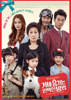 ดูหนังออนไลน์ How to Steal A Dog (2014) แผนการลับจับเจ้าตูบตัวดี หนังมาสเตอร์ หนังเต็มเรื่อง ดูหนังฟรีออนไลน์ ดูหนังออนไลน์ หนังออนไลน์ ดูหนังใหม่ หนังพากย์ไทย หนังซับไทย ดูฟรีHD