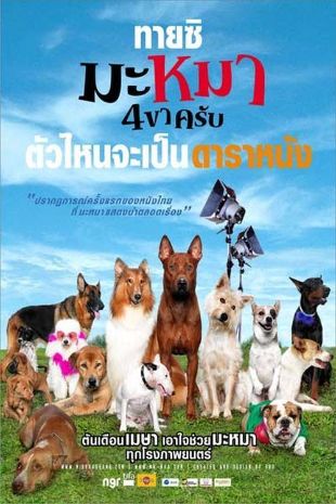 ดูหนังออนไลน์ฟรี Mid Road Gang (2007) มะหมา 4 ขาครับ หนังมาสเตอร์ หนังเต็มเรื่อง ดูหนังฟรีออนไลน์ ดูหนังออนไลน์ หนังออนไลน์ ดูหนังใหม่ หนังพากย์ไทย หนังซับไทย ดูฟรีHD