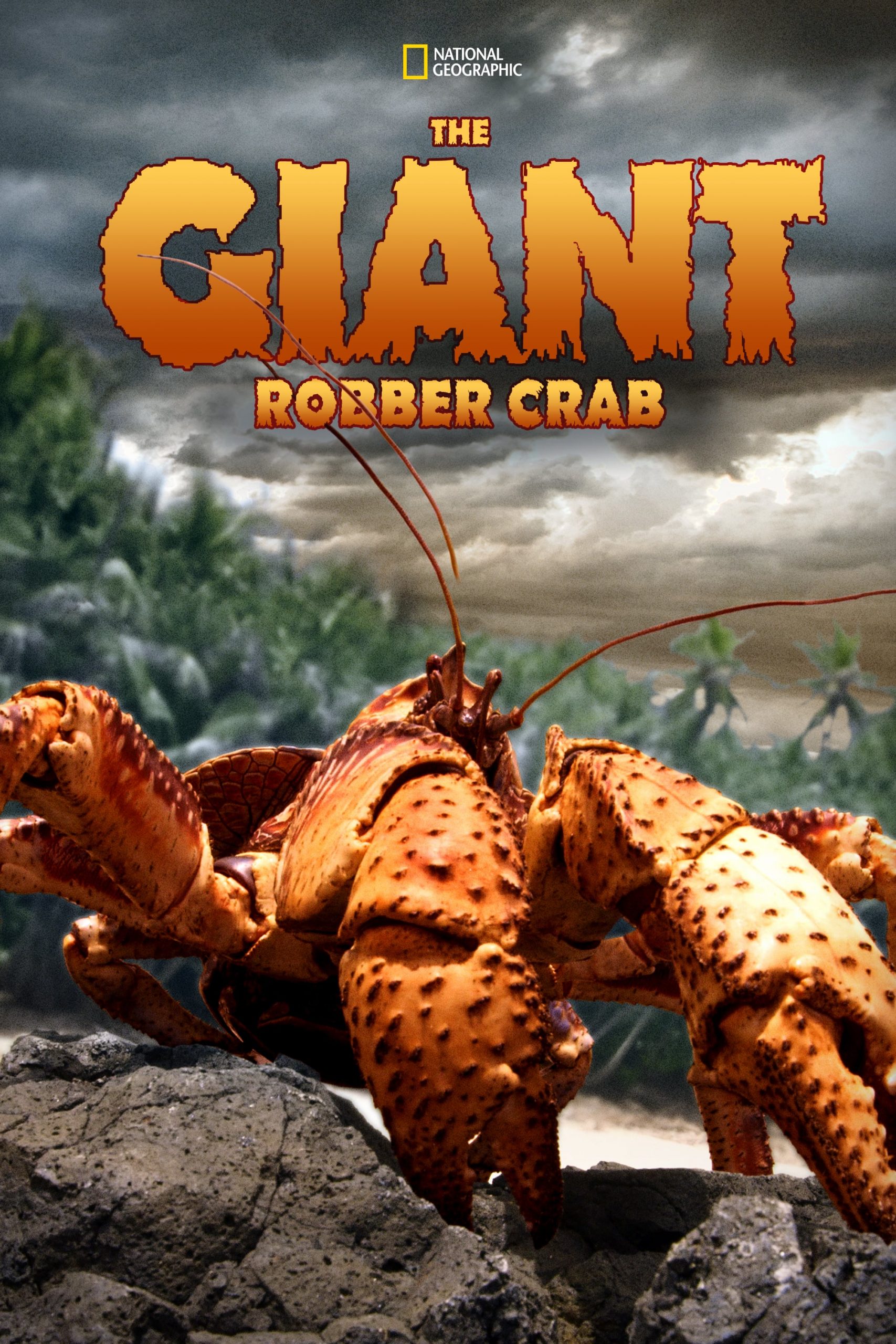ดูหนังออนไลน์ฟรี The Giant Robber Crab (2019) ปูมะพร้าวแห่งเกาะคริสต์มาส หนังมาสเตอร์ หนังเต็มเรื่อง ดูหนังฟรีออนไลน์ ดูหนังออนไลน์ หนังออนไลน์ ดูหนังใหม่ หนังพากย์ไทย หนังซับไทย ดูฟรีHD