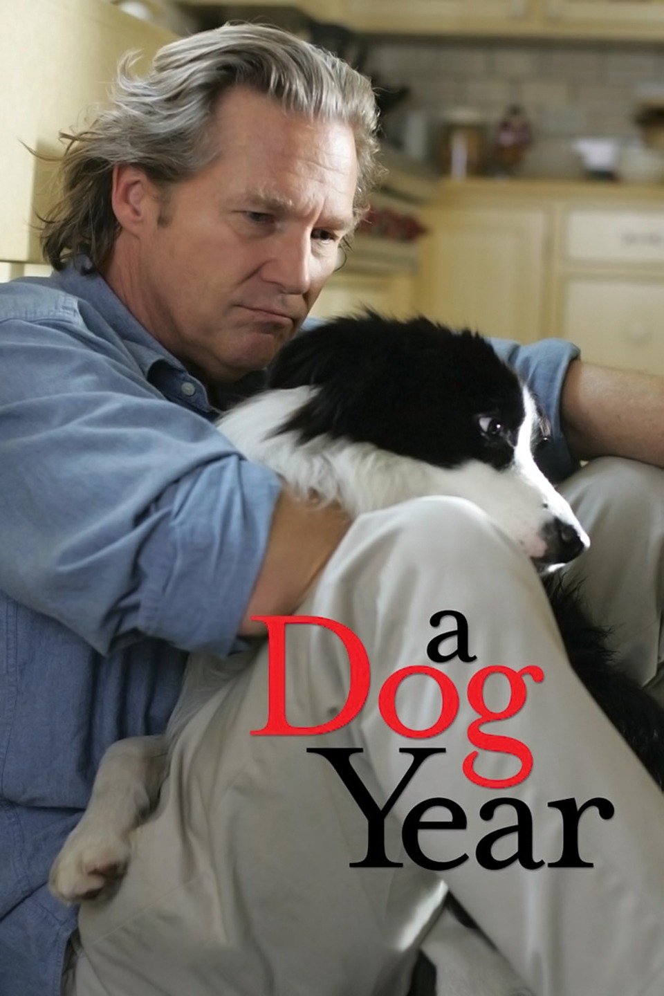 ดูหนังออนไลน์ฟรี A Dog Year (2009) อะ ด็อก เยียร์