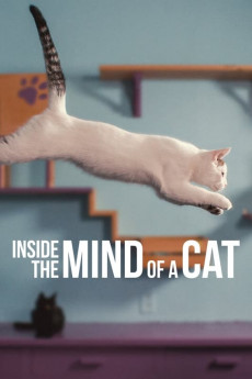 ดูหนังออนไลน์ Inside the Mind of a Cat (2022) หนังมาสเตอร์ หนังเต็มเรื่อง ดูหนังฟรีออนไลน์ ดูหนังออนไลน์ หนังออนไลน์ ดูหนังใหม่ หนังพากย์ไทย หนังซับไทย ดูฟรีHD