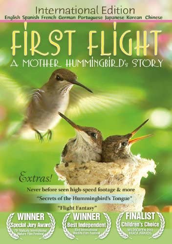 ดูหนังออนไลน์ฟรี First Flight A Mother Hummingbirds Story (2009)