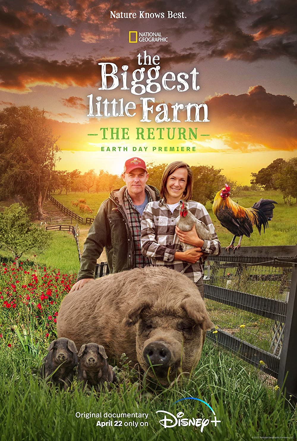 ดูหนังออนไลน์ The Biggest Little Farm The Return (2022) หนังมาสเตอร์ หนังเต็มเรื่อง ดูหนังฟรีออนไลน์ ดูหนังออนไลน์ หนังออนไลน์ ดูหนังใหม่ หนังพากย์ไทย หนังซับไทย ดูฟรีHD