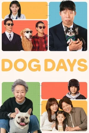 ดูหนังออนไลน์ฟรี Dog Days (2024) ด็อกเดย์ สี่ขาว้าวุ่น หนังมาสเตอร์ หนังเต็มเรื่อง ดูหนังฟรีออนไลน์ ดูหนังออนไลน์ หนังออนไลน์ ดูหนังใหม่ หนังพากย์ไทย หนังซับไทย ดูฟรีHD